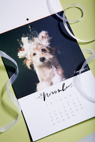 adorable dog calendar