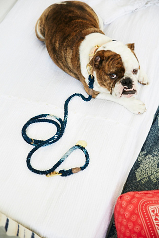 Unique Pet Products for Dogs, Cats & More Free People