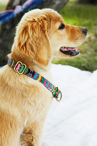 Pet Collars Cute Dog Collars & Cat Collars Free People